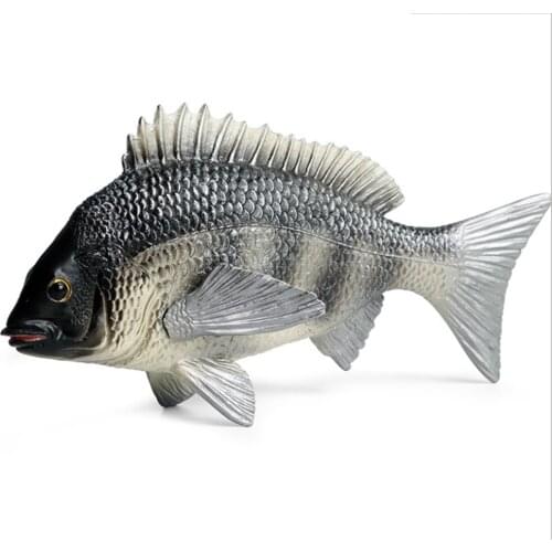 Gray Tilapia Mossambica Animal Figure Collectible Toys Fish Animal Cognition Action Figures Simulation Animal Toys