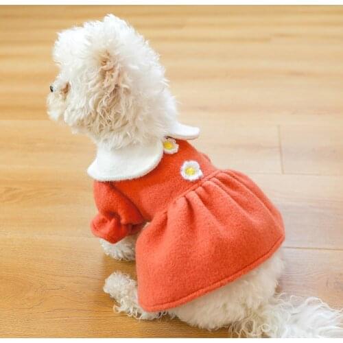 Pet Dog clothes for small dogs cat Warm and comfortable princess skirt in autumn and winter Doll collar flower woolen skirt
