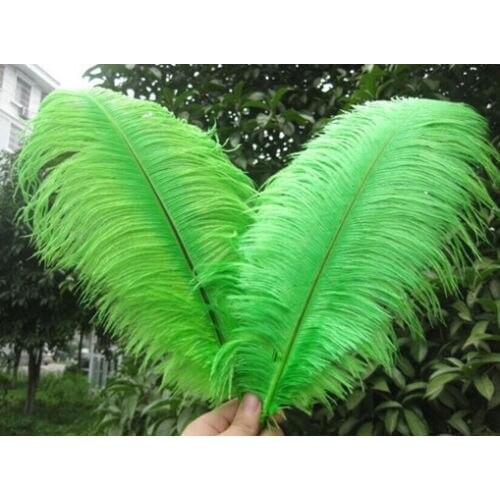 10 PCS natural green ostrich feather 45-50 cm / 18 to 20 inches ostrich plumage performance headwear clothing plumes decoration