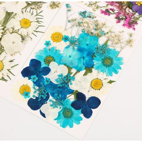 Multi-purpose 3D Pressed Mixed Real Dried Flowers DIY Floral Decors For UV Gel Nail Art Tips Face Sticker Rhinestones Decoration