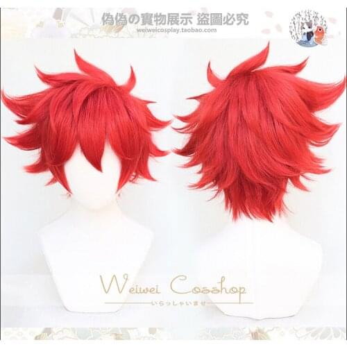 Anime SK8 the Infinity Reki Kyan Costume Cosplay Hair Wig need style Red