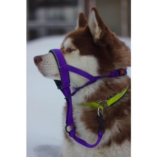 AkBoru Products For Dogs