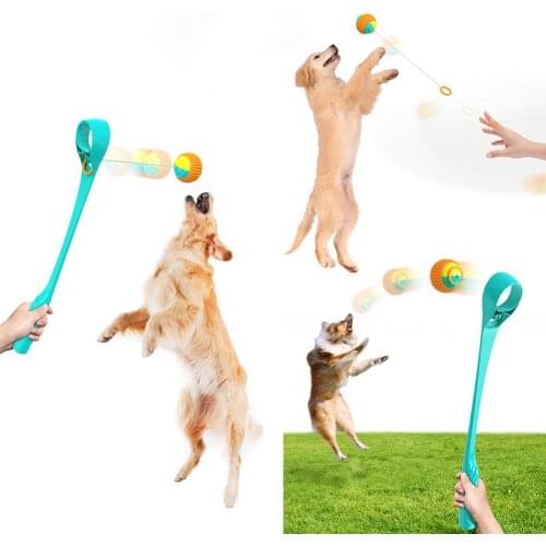 Dog Pets Throwing Cue Stick Outdoor Interactive Walking Toy Throwing Ball Artifact Training Anti Stress Toys Popular Goods