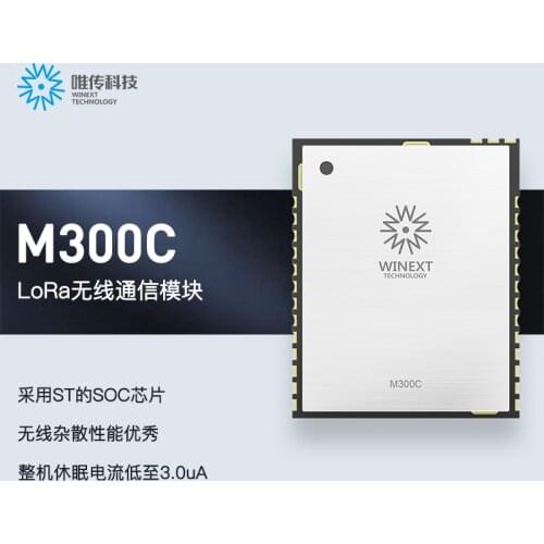 LoRa Module STM32WL SX1262 Single Chip Lora Module (CN470-510MHz)