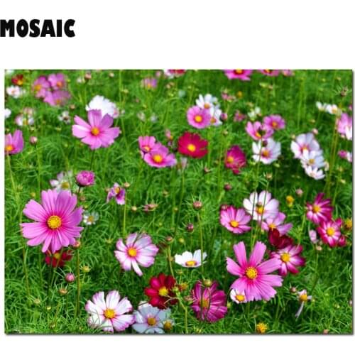 Modern style DIY Diamond Embroidery Cosmos bipinnata Cav.diy Diamond Painting Cross Stitch flower Mosaic Crystal Decor painting