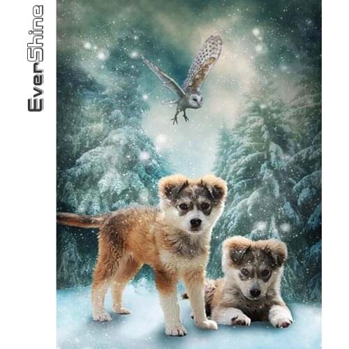 Evershine DIY Diamond Painting Dog New Arrival Diamond Embroidery Owl Animal Cross Stitch Mosaic Winter Home Decor Gift