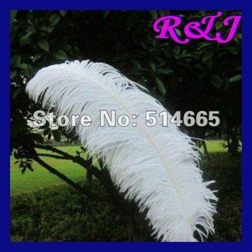 EMS Free shipping Wholesale 50PCS 65-70cm 26-28inch pure white dyed ostrich drab feather ostrich plumes