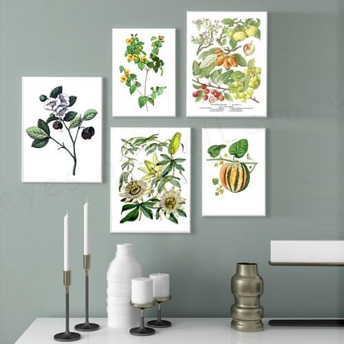 Watermelon Plant Painting on Canvas Botanical Nordic Wall Poster Print Scandinavian Flower and Leaves Image Home Decor