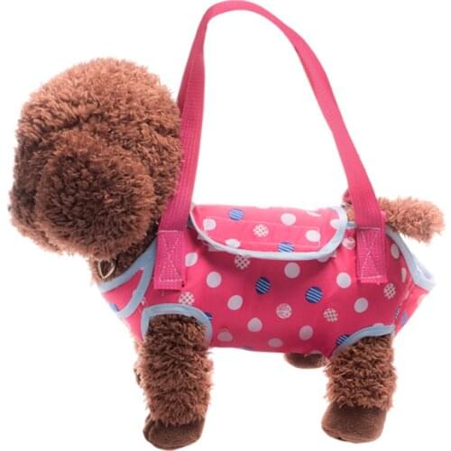 Pet Cat Dog Leash Collar Outdoor Travel Shoulder Bag Harness Carrier Bag with Shoulder Stripe