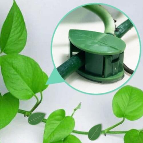 50Pcs Self-Adhesive Fixed Buckle Leaf Shape Clip Plant Climbing Wall Fixture Rattan Vine Traction Holder Plant Wire Organizer