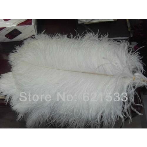 EMS freeshipping! wholesale!100PCS/lot beautiful 22-24inch 55-60CM white ostrich feathers wedding