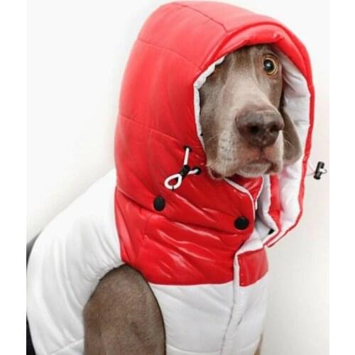 Winter Dog Down Coat Fashion Puppy Jacket Warm Dog Clothes for Small Medium Dogs Yorkie Clothing Shih Tzu Clothes A82