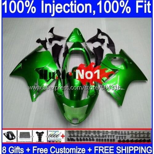 Blackbird For HONDA CBR 1100 XX CBR1100XX 92MC.7 CBR1100XX 1996 1997 1998 1999 2000 2001 96 97 98 99 00 01 Glossy green Fairing