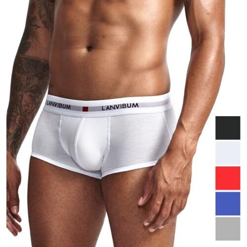 High Quality New men underwear Cotton Boxers Male shorts Soft Comfortable underpants Slip solid Mens boxer Sexy homewear panties