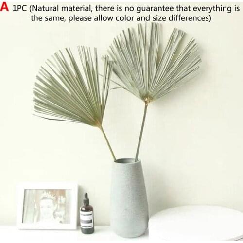 Palm Fan Leaf Dried Flower Palm Leaf Window Wedding Arch Arrangement Party Art