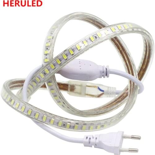 SMD 5630 AC 220V LED Strip Outdoor Waterproof 5630 220 V LED Strip 220V SMD 5630 120leds/m LED Strip Light 1M 2M 5M 10M 15M 20M