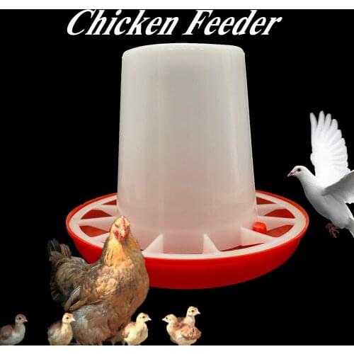 1PCS Day Old Chick Chicken Poultry Feeding Bucket Feeder Plastic 1KG Capacity Layer Brood Quail Dove Bird Farming Tools