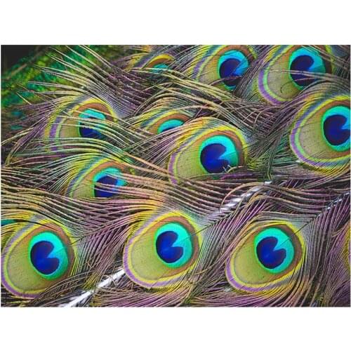 Diy Peacock feather Diamond Painting Stitch Diamond Embroidery Full Mosaic Rhinestones Gift Animal Wedding DecorationZP-1720