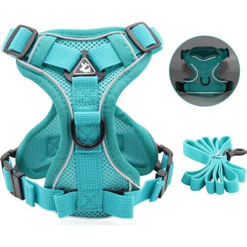 Soft Sandwich Breathable Small Dog Harness Vest Reflective 4 Point Adjustment Cheap Dog Harness And Leash Set 1.5m Dog Lead