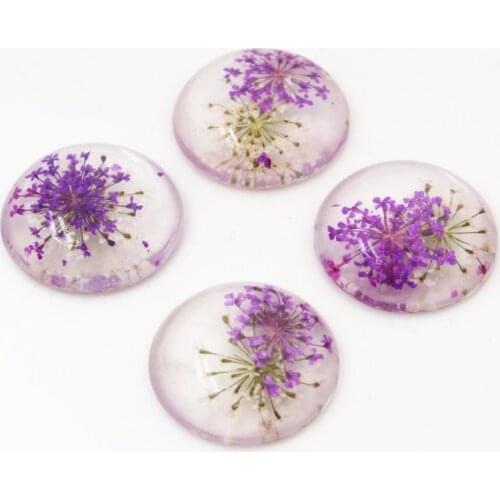 New Fashion 5pcs 25mm Natural Dried Flowers Flat Back Resin Cabochons Cameo G3-09