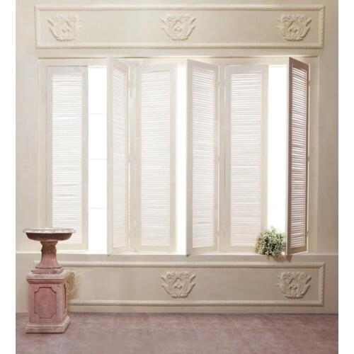 TR White Window Indoor Vinyl Cloth Wedding Children Photography Backgrounds for Photo Studio Photo Backdrops fondos de estudio