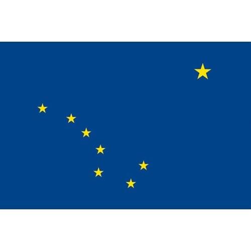 CustPrint Alaska State Flag 3FTx5FT US State Polyester Flags Edge Double Stiched 2FTx3FT Banners