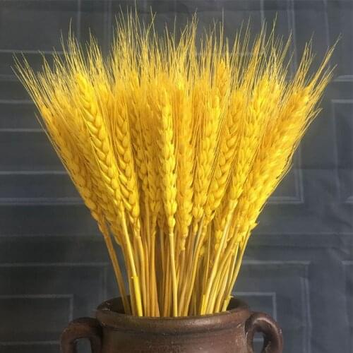 50pcs/100pcs Wheat Autumn Decoration Pampas Grass Craft Flowers Dried Flowers for Wedding Decoration Wheat