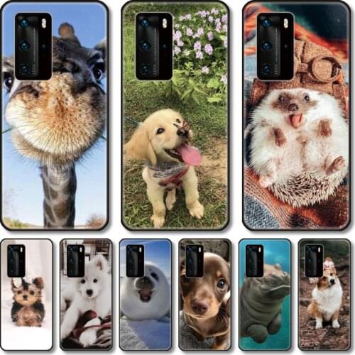 Cute animals Phone Case For Huawei P 40 30 20 10 9 8 Lite E Pro Plus black cell shell