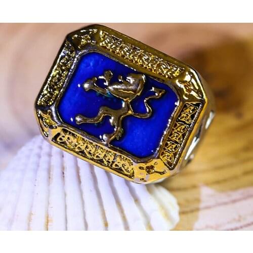 Mens Punk Lion Ring Vintage Big Blue Geometric Finger Rings Cool Animal Design Jewelry bague homme Hip Hop Z5M501