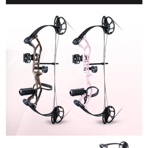 Bow And Arrow With Compound Bow Shooting Bow Outdoor Sports Hunting Practice Children Bow Adjustable Archery Accessories