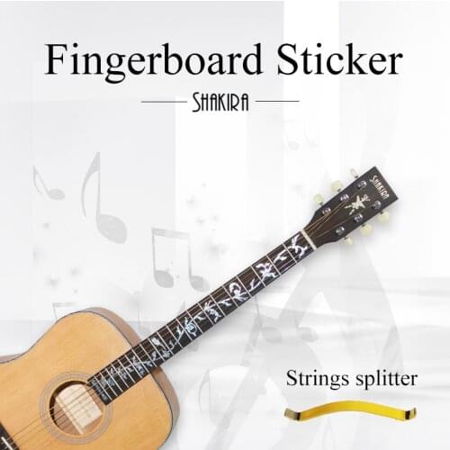 Shakira Electric Guitars