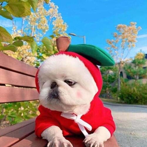 Warm Dog Winter Clothes Cute Fruit Dog Coat Hoodies Fleece Pet Dogs Costume Jacket for French Bulldog Chihuahua Ropa Para Perro