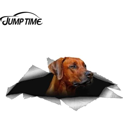 Jump Time 13cm x 6.2cm Dog Pet Decal for vehicle car van laptop 3D Pet Graphic Vinyl Decal Car Window Bumper Animal Car Stickers