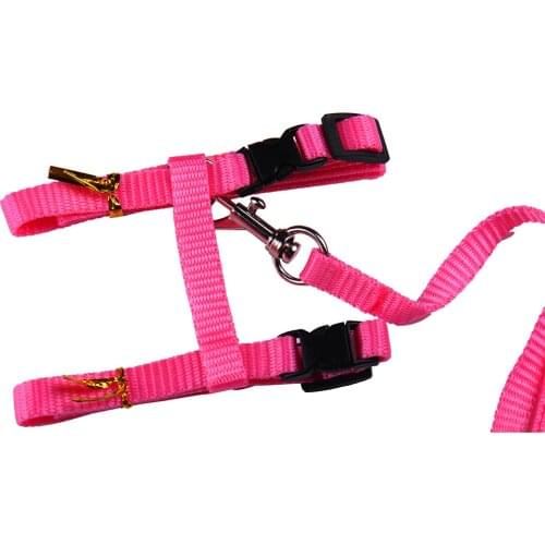 Cat Dog Collar Harness Leash Traction Rope Chest Strap Kitty Harness Bungee Pet Safe Collar Pet Cats Tie Interaction Pet Product
