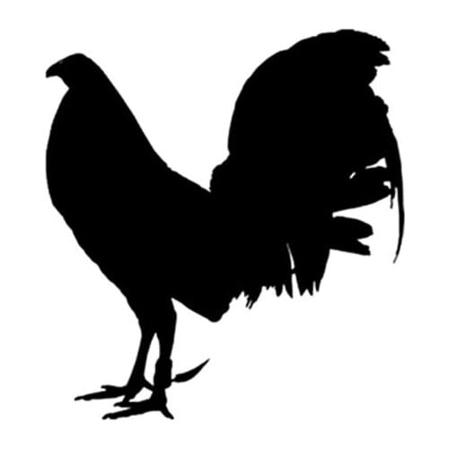13.2CM*14.5CM Funny Animal Gamefowl Rooster Vinyl Car Sticker Decor Decal Black/Silver