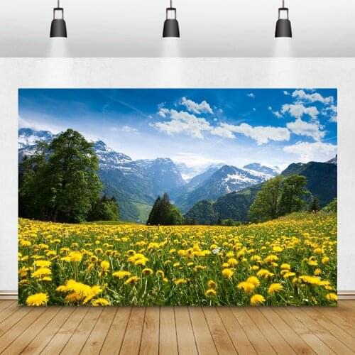 Laeacco Scenic Spring Flower Grassland Mountains Natural Landscape Room Decro Photo Backgrounds Photo Backdrops For Photo Studio