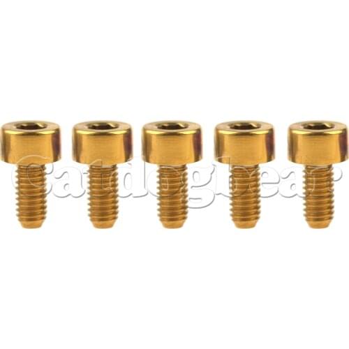 Catdogbear 5 Pcs Titanium Bolts M3 x 6 8 10 12 15 18mm M3 Titanium Stigma Inner Hexagon Screws DIN912 for Bike Ti Fastener