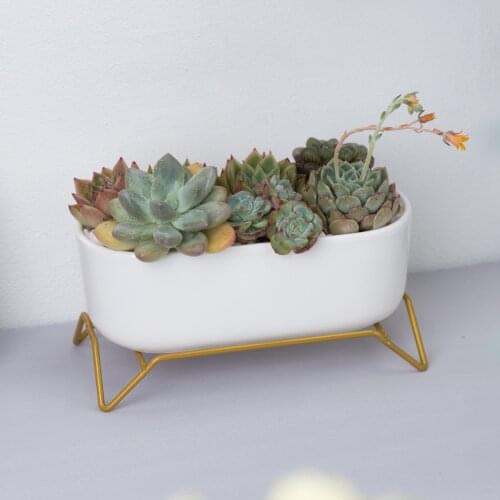 White Ceramic Flowerpot With Gold Metal Stand Succulent Pot Has Drain Hole Home Garden Decor Oval Rectangle Square Planter Pot