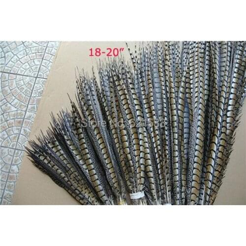 Tail Feathers, 100Pieces-18-20" 45-50cm NATURAL Lady Amherst Pheasant Tail Feathers,Lady Amherst Side Tails Lady Amherst Tails