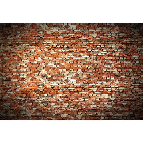 Cute pet dogs photo backgrounds vinyl fotografia vintage art photography backdrops for photography studio accessories lv-1422