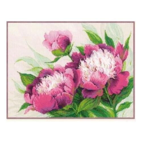 Gold Collection Counted Cross Stitch Kit Pink Peonies Peony Flower Flowers 100-039