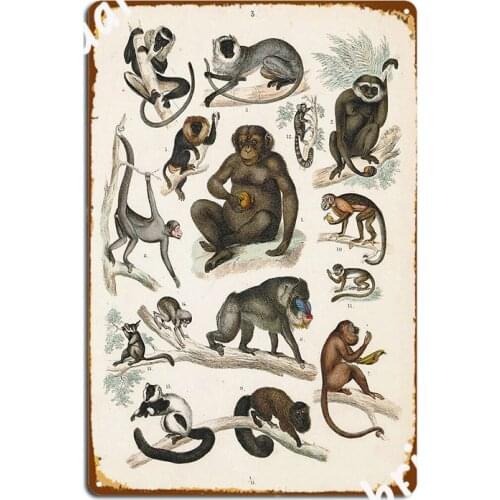 Vintage Zoology Illustration Monkeys Metal Sign Mural Painting Pub Garage Customize Wall Cave Tin Sign Poster