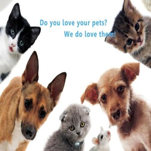 Newest Mini Pet GPS Tracker FP03 Real Time Global Locator With Collar/Cover for Animal/Cars support Free app Remote shutdown