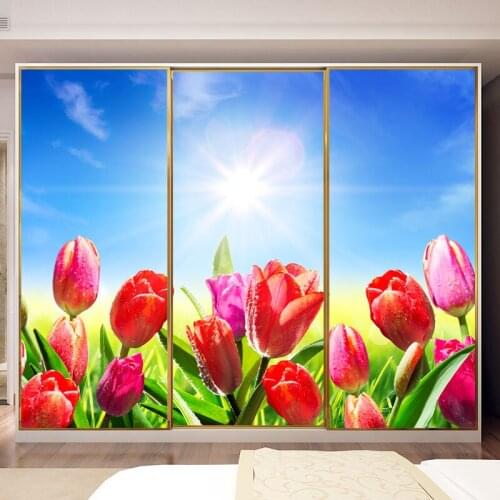 Custom removable glass sticker film, closet glass film frosted, frosted sliding door sticker, balcony door