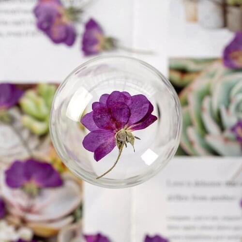 60pcs Pressed Dried Flower Purple Rose Herbarium For Epoxy Jewelry Bookmark Phone Case Makeup Nail Art Craft DIY