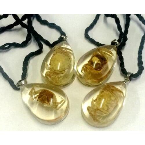 FREE SHIPPING 12 PCS CRAB LUCITE PENDANT INSECT JEWELRY TAXIDERMY GIFT