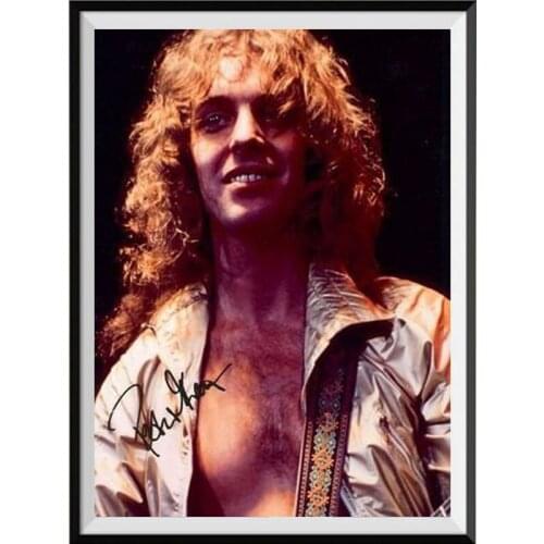 5D DIY diamond painting PETER FRAMPTON diamond mosaic diamond embroidery Home Decoration Cross stitch