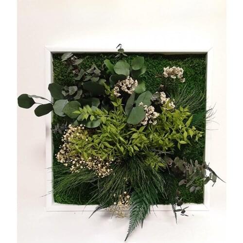 Demeter, plant with Moss plate framework and natural plants default, Moss Frame, zero maintenance, ForestMoss