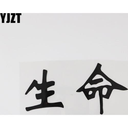 YJZT 15.5CM*7.8CM Personality Life Chinese Characters Fashion Car Stickers Vinyl 13D-0434