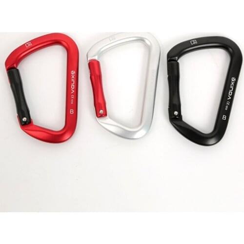 2021 new Carabiner Clip Rock Climbing Quick-hanging D-type Door Mountaineering Safety Buckle Downhill Equipment keychain Lock